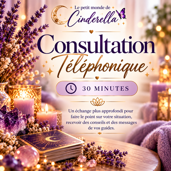 Séance téléphonique  30 minutes