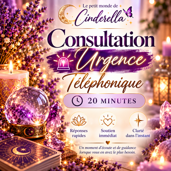Séance d'urgence téléphonique 20 minutes