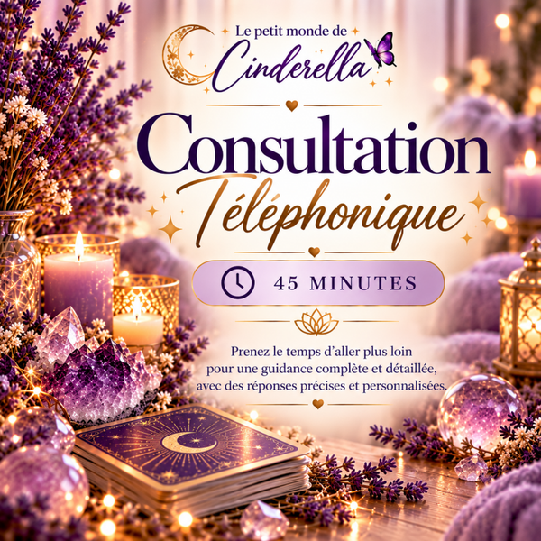 Séance téléphonique 45 minutes