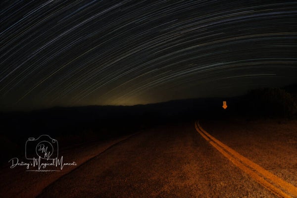 The Long Way Home