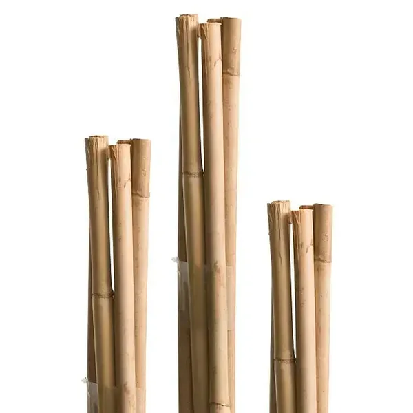 Bambusstab