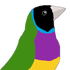 Gouldian Care