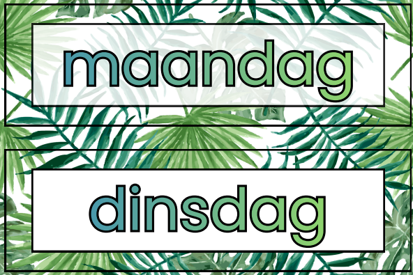 Dagritmekaarten jungle
