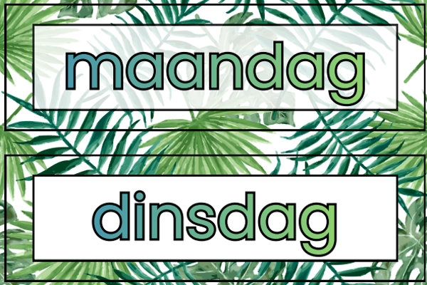 Dagritmekaarten jungle