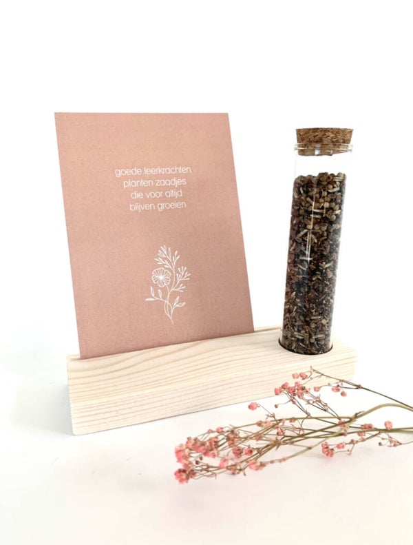 Goede leerkrachten planten zaadjes die voor altijd blijven groeien