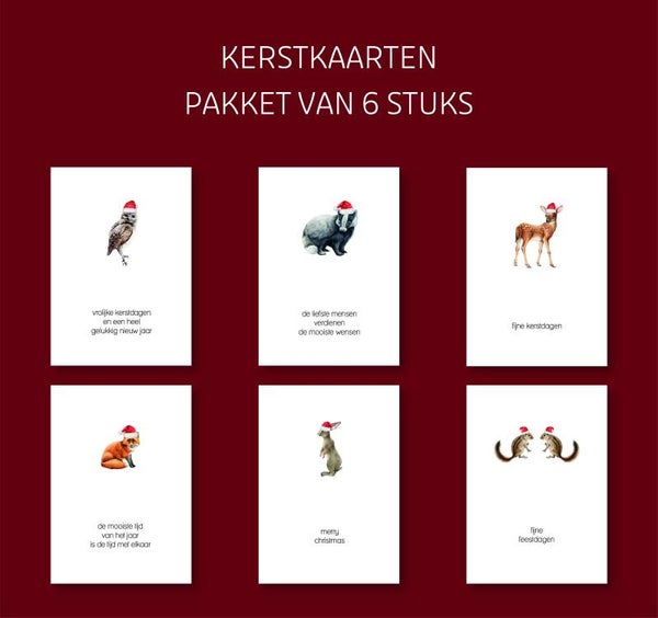 Voordeelpakket kerstkaarten