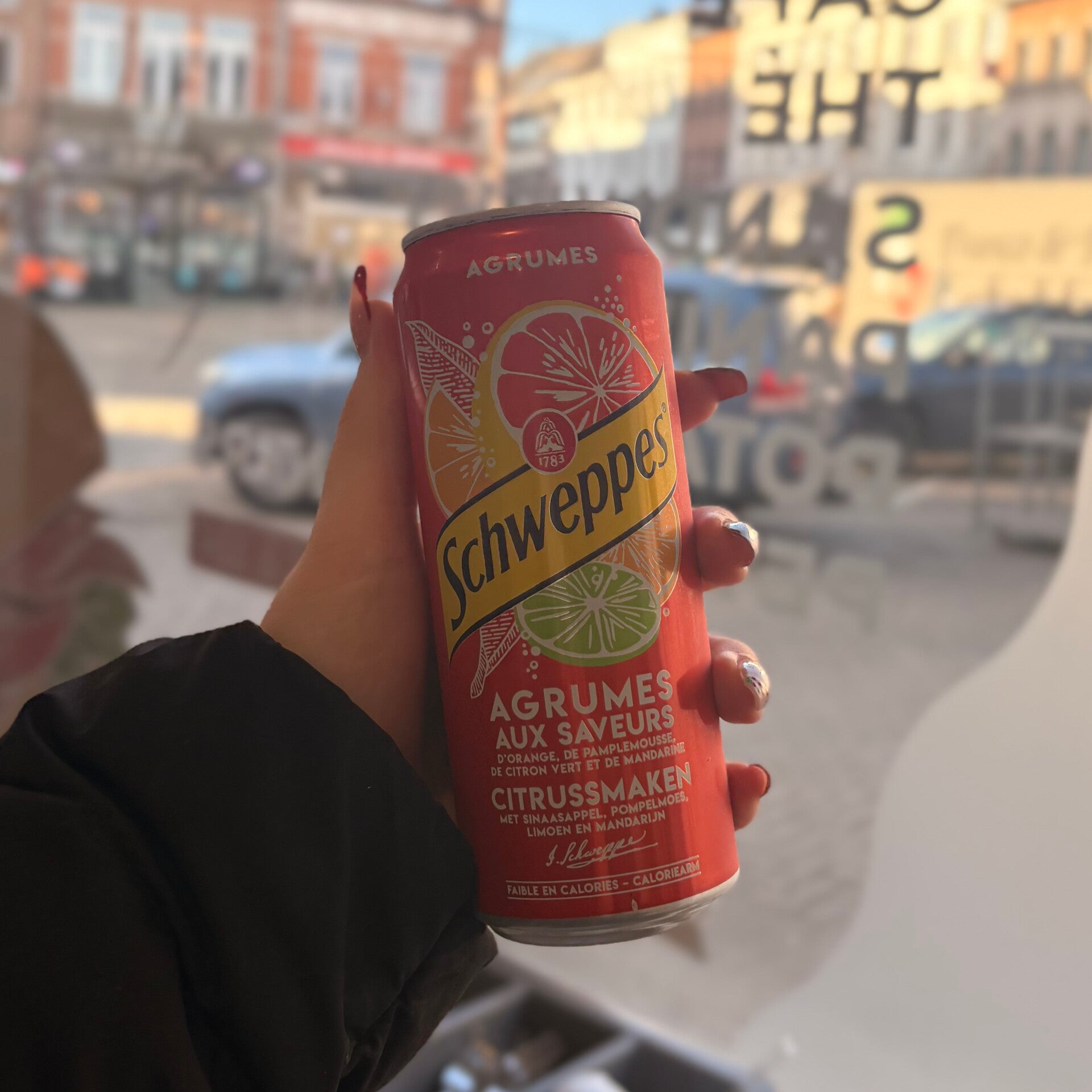 Schweppes agrumes 33 cl