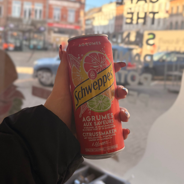 Schweppes agrumes 33 cl