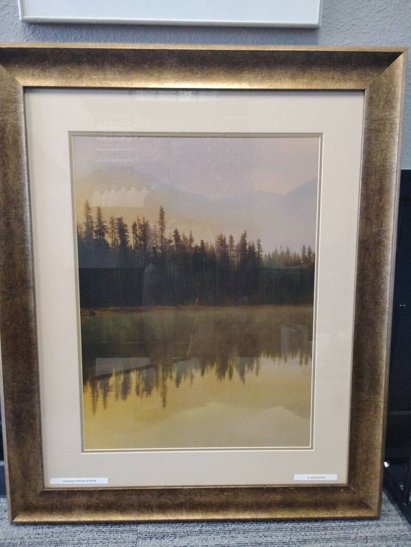 Landscape reflection