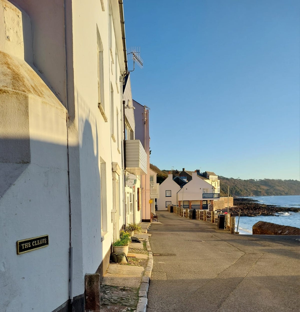 Olives in Torpoint