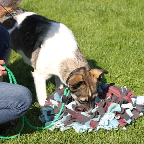 Snuffel en Hersenwerk 1 les