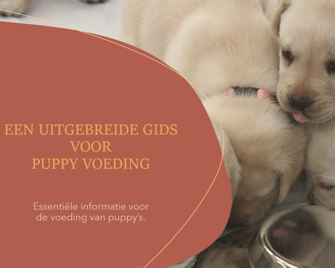 Puppy - Jonge honden online voedingsboekje
