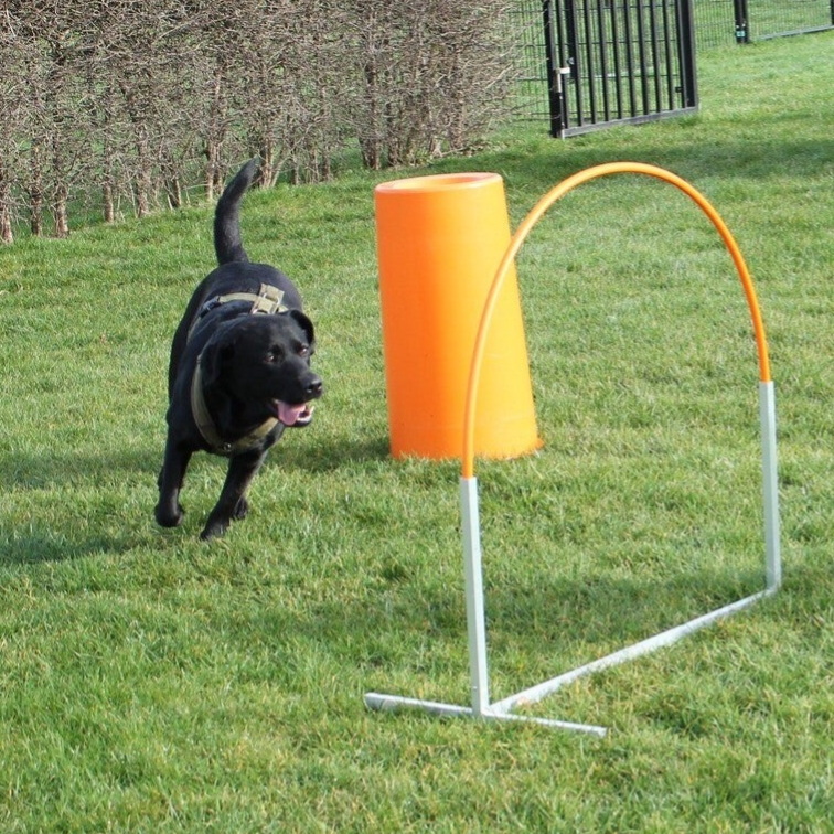 Hoopers 8 lessen groep