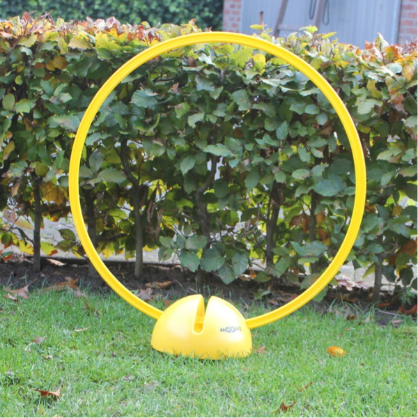 Bolvoet