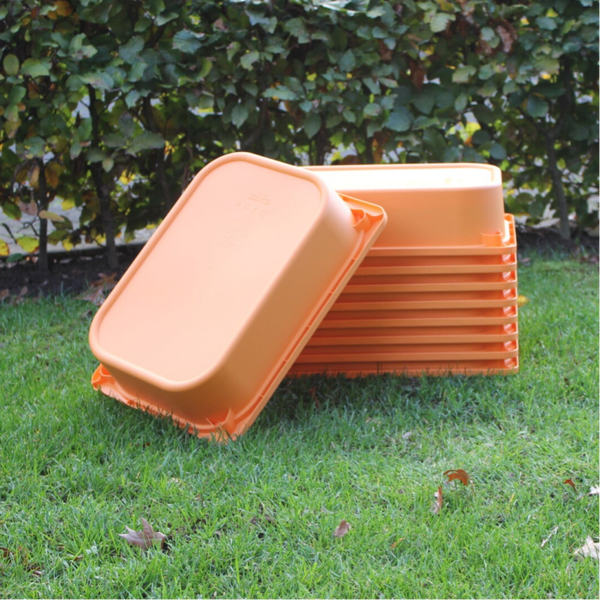 Oranje bakje