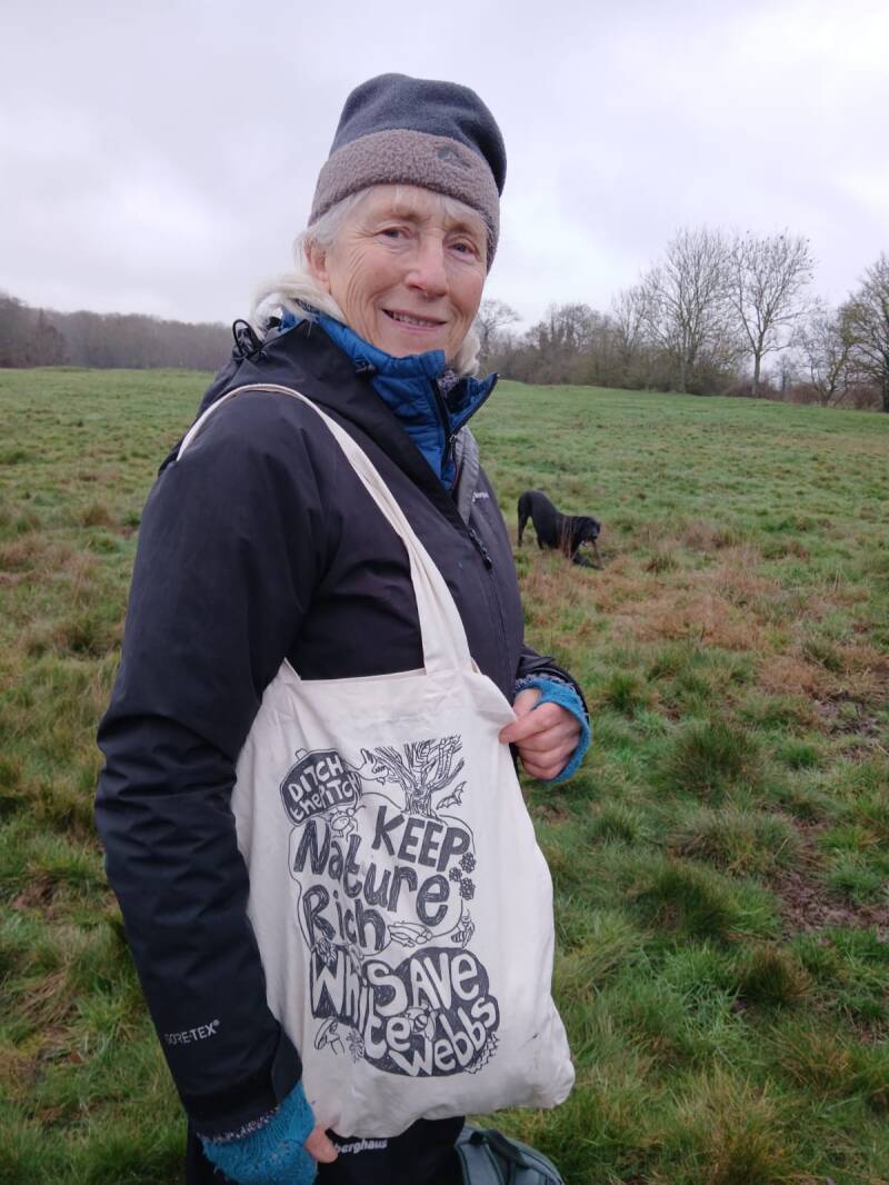 sharon-drew-guardians-of-whitewebbs-tote-bag-photo-standard.jpg
