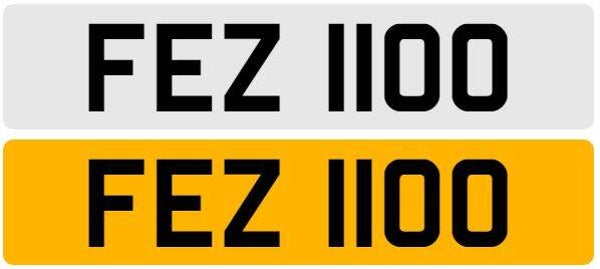FEZ 1100