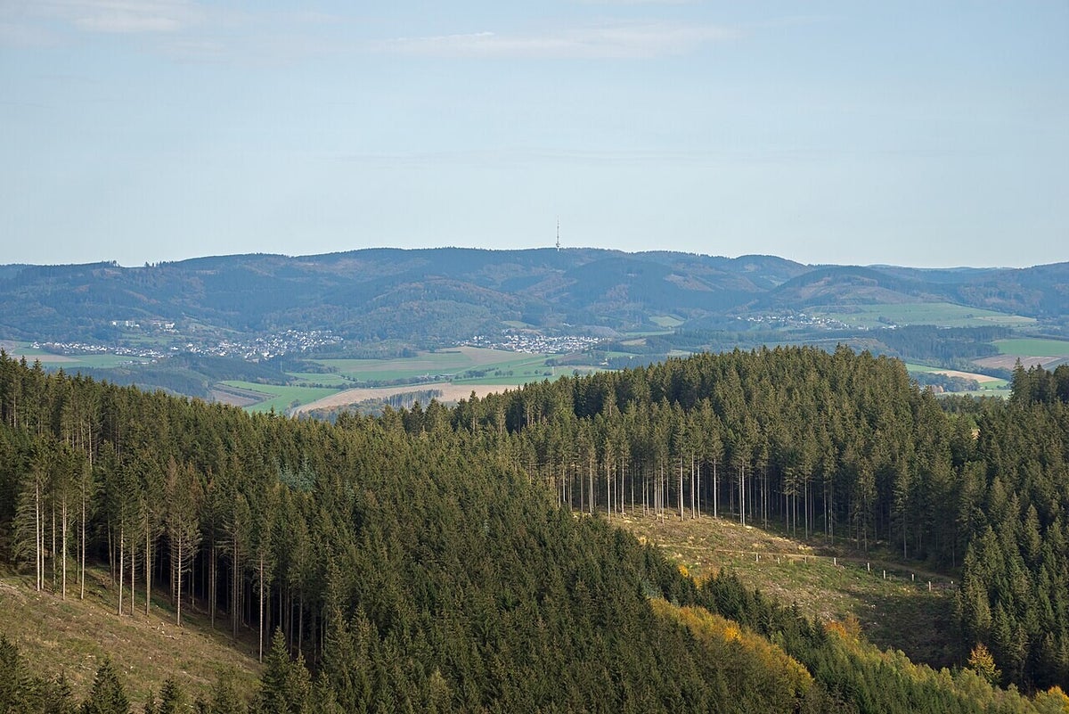 Wäller von der Hunau