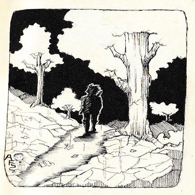 dark-path-standard.jpg