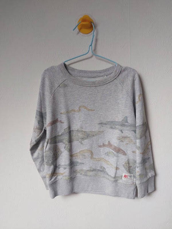 ♦ American Outfitters 4Y