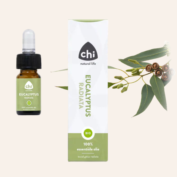 Chi - Eucalyptus radiata, etherische olie, biologisch 10 ml