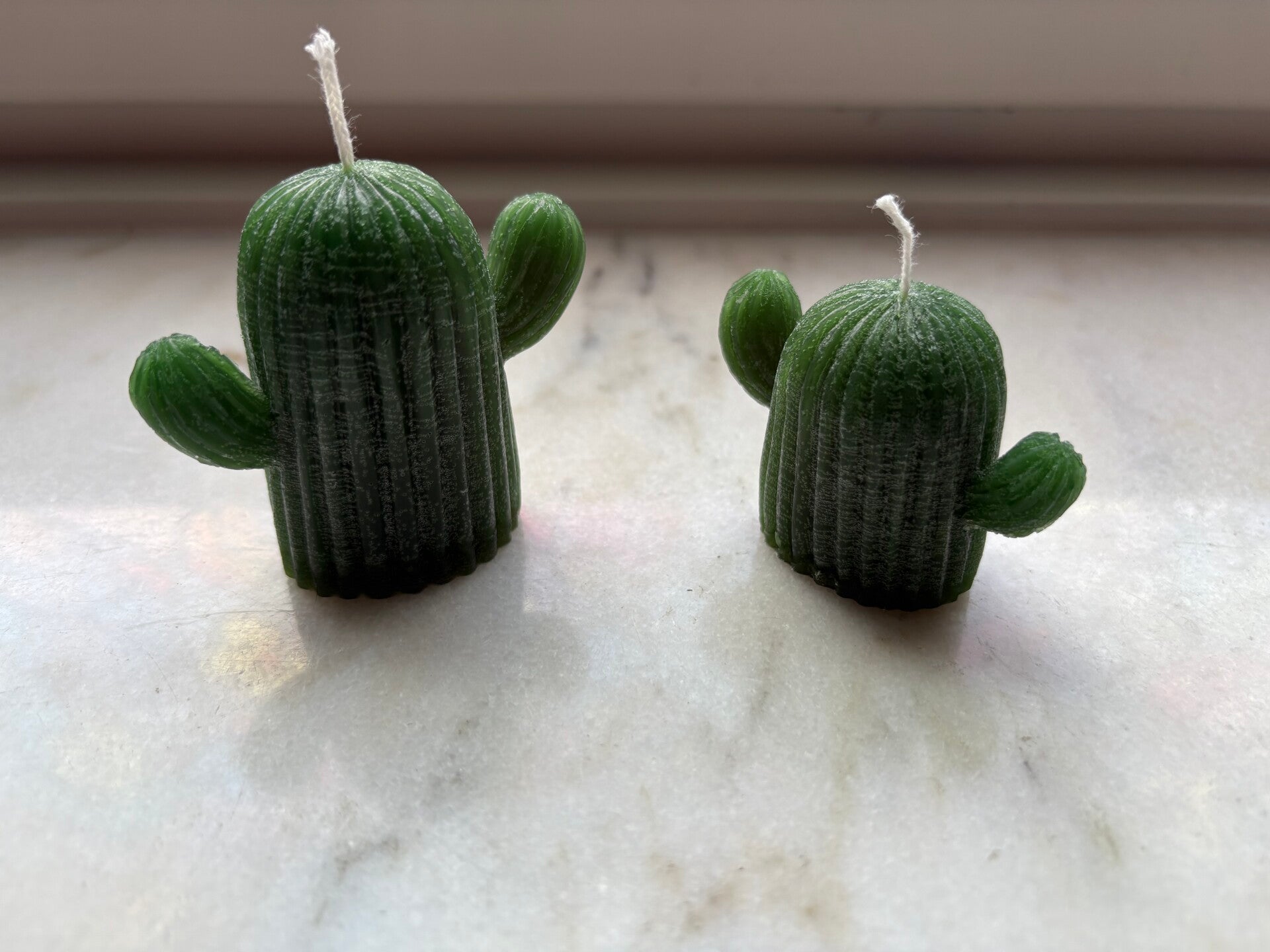 Cactussen