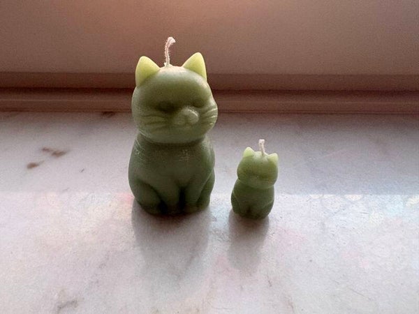 Kleine en grote Kat