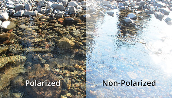 Select Polarised Lenses