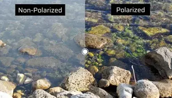 Polarised Single Vision Lenses