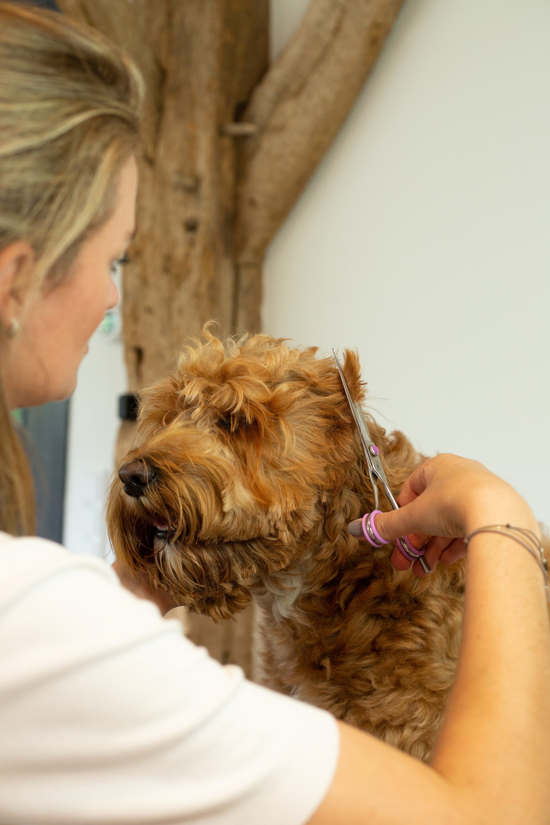 Online cursus hoofd doodle knippen