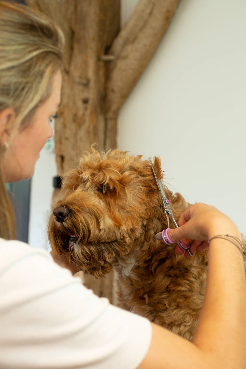 Cursus hoofd doodle knippen