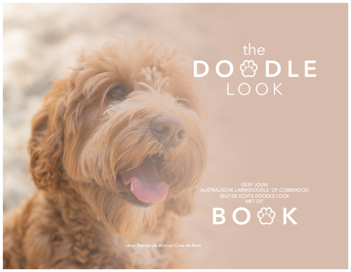 The Doodle Look BOOK