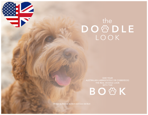 The Doodle Look BOOK - ENG