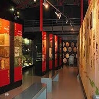 saga-du-rhum-4-standard.jpg