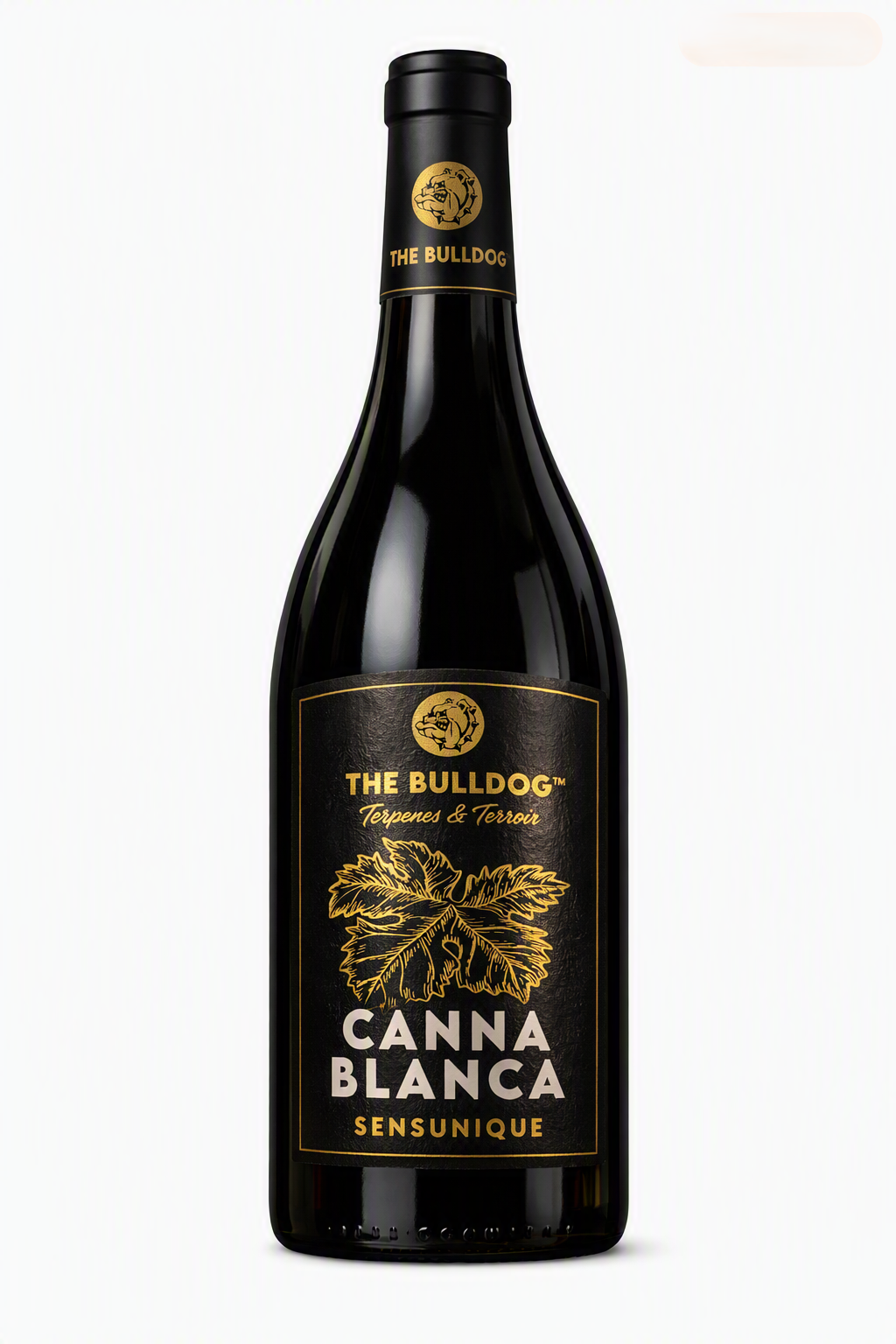 Cannablanca