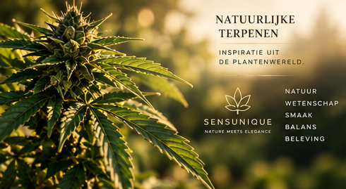 Botanische inspiratie bij Sensunique
