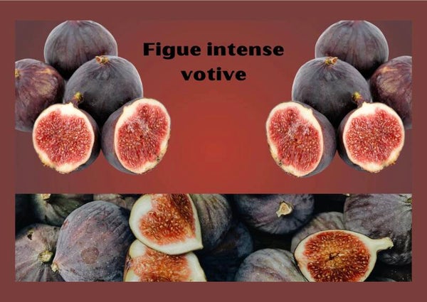 Coffrets votive figue intense