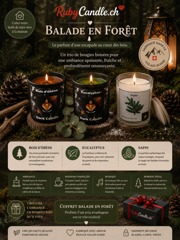 BALADE EN FORÊT