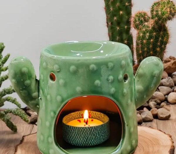 Diffuseur, cactus