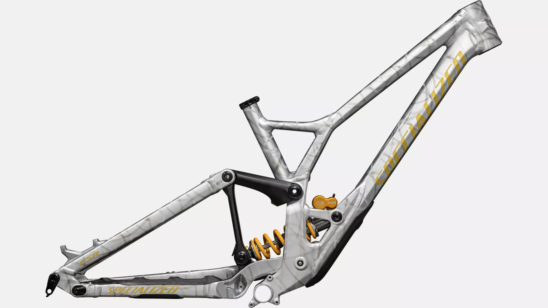 Specialized Demo Race