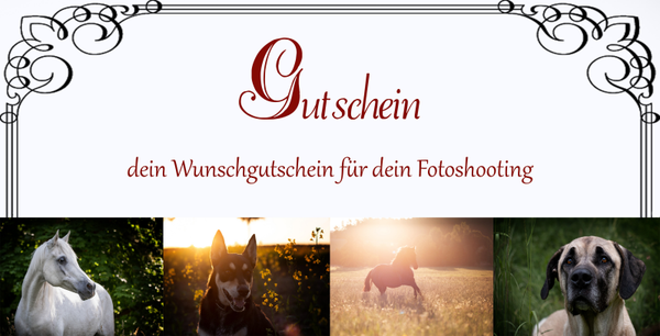 Gutschein Tier oder Babyzeit