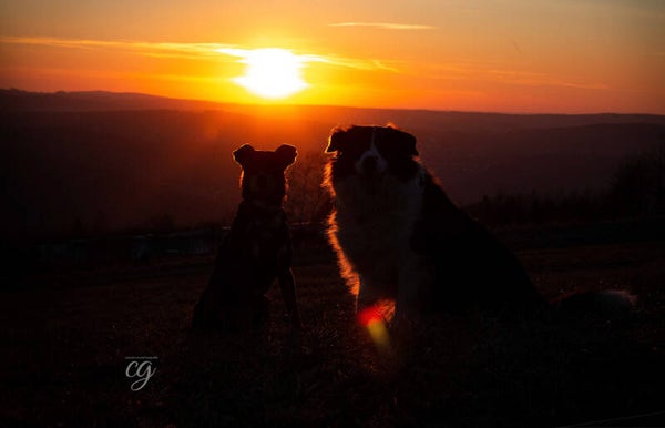 Von der Sonne geküsst