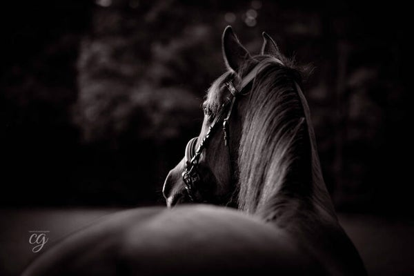 black und  white