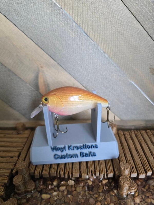 2.5 Squarebill Golden Shiner