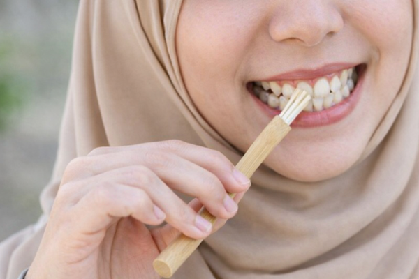 Miswak (siwak) is een natuurlijk tandenpoetsstokje van de Salvadora persica-boom.