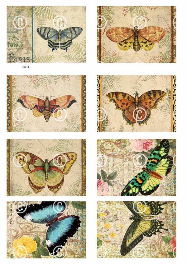 Collage a la Daantje - 1431