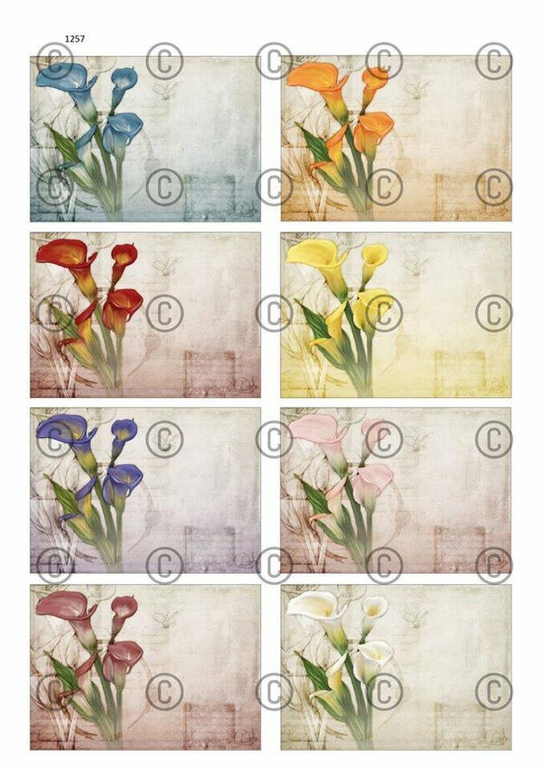 Collage a la Daantje - 1257