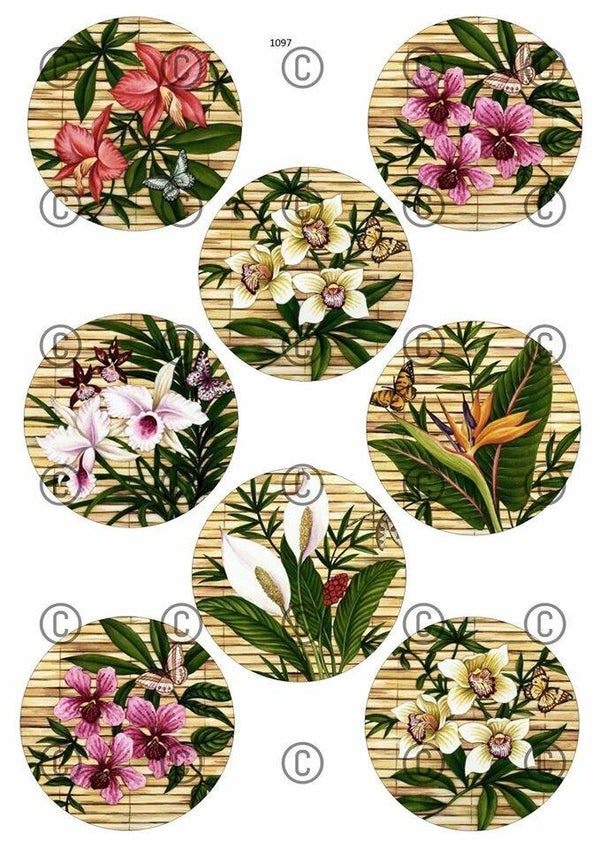 Collage a la Daantje - 1097