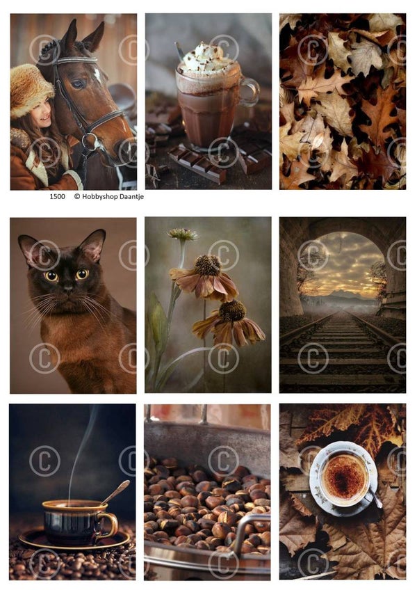 Collage a la Daantje - 1500