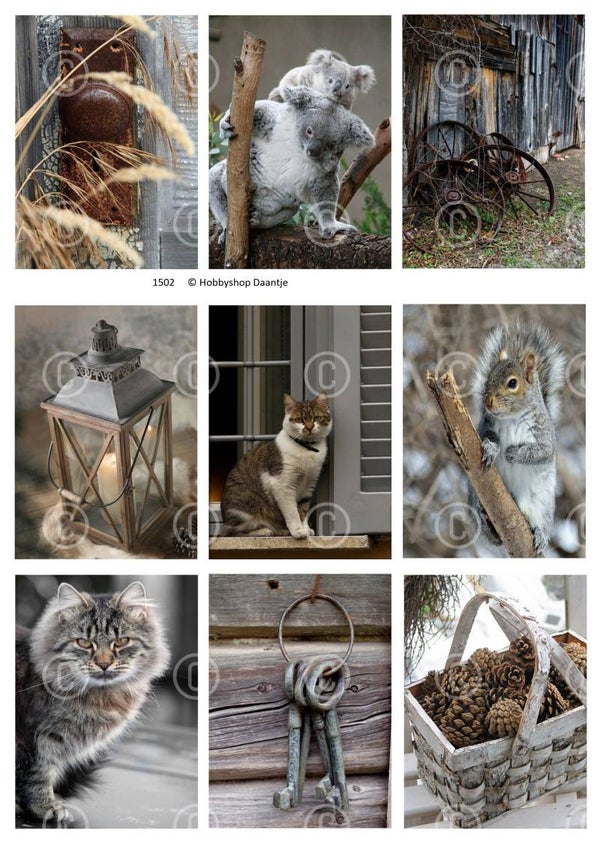 Collage a la Daantje - 1502